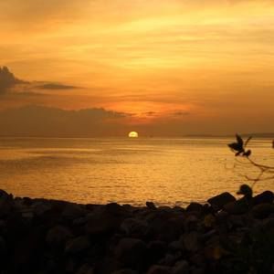 Meet your Posher, Joceila